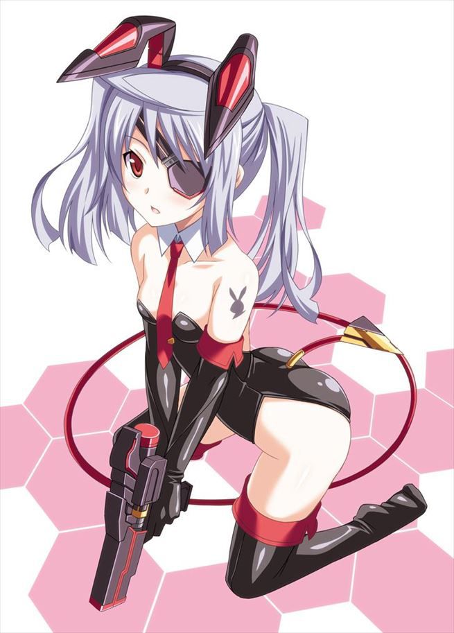 I want to be very nuccane in Infinite Stratos 9