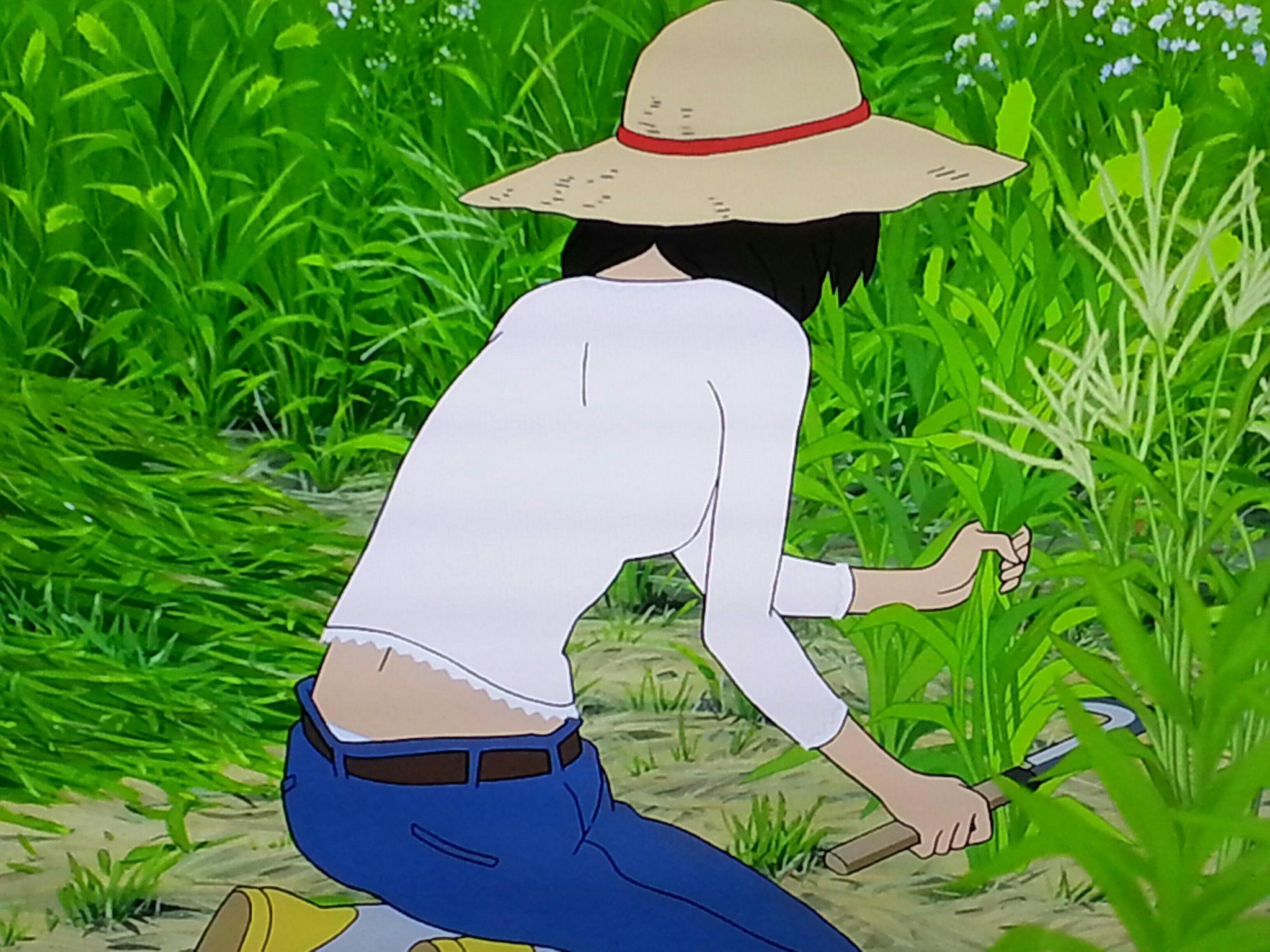 【Sad news】"Okami Kodomo's rain and snow", it goes up in flames in the scene where mom's pants can be seen while farming 5