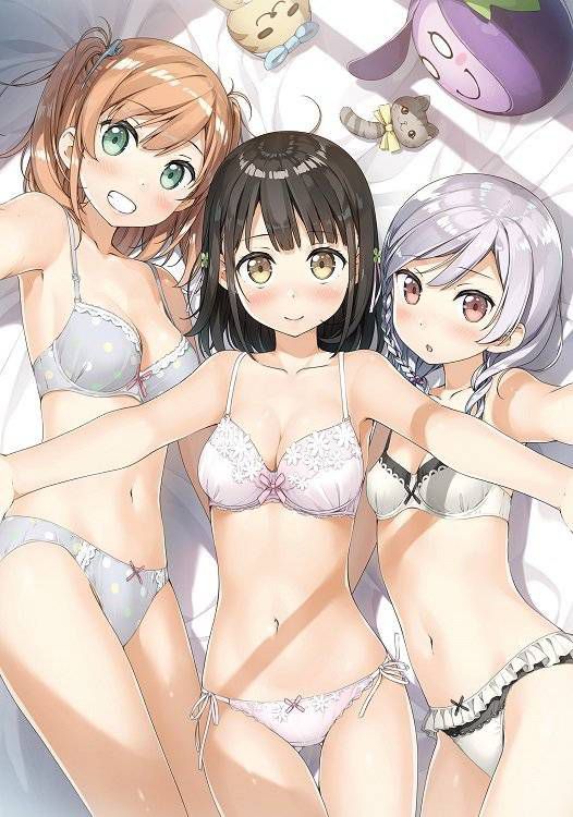 Erotic anime summary Beautiful girls in underwear figure that are exquisitely erotic and excited [50 sheets] 12