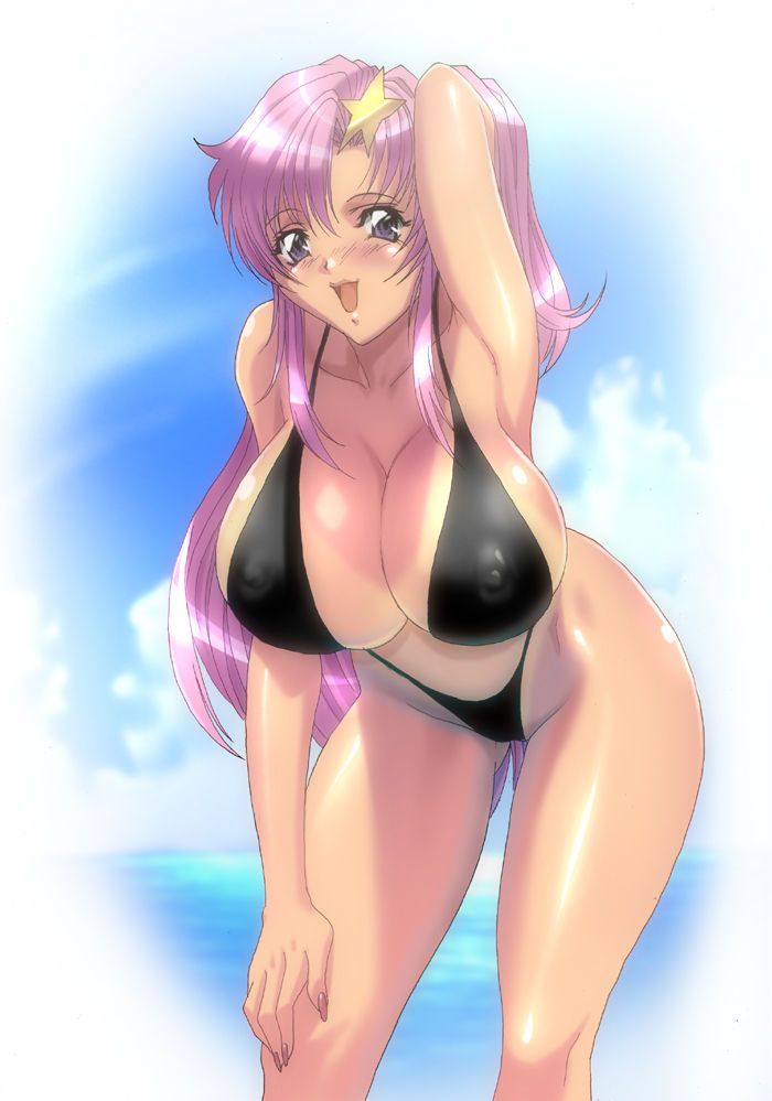 Please make too erotic images of Mobile Suit Gundam SEED! 5