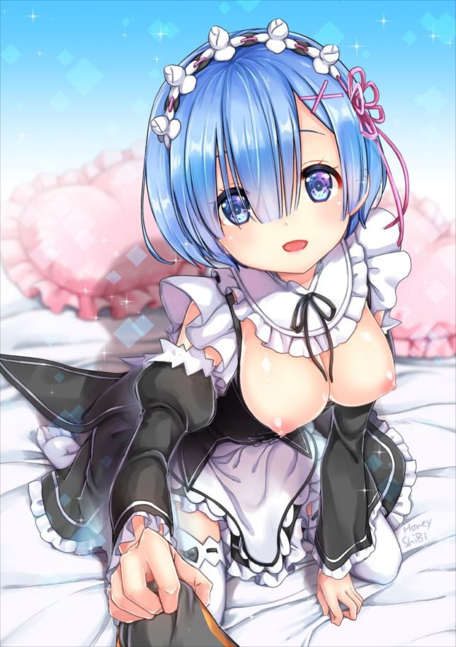 【Re:Life in a different world starting from zero】 Rem's cute picture furnace image summary 12