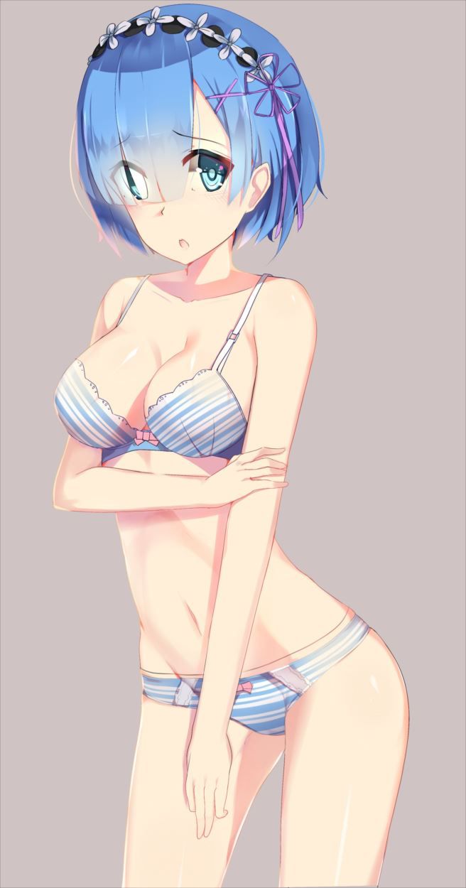 【Re:Life in a different world starting from zero】 Rem's cute picture furnace image summary 13
