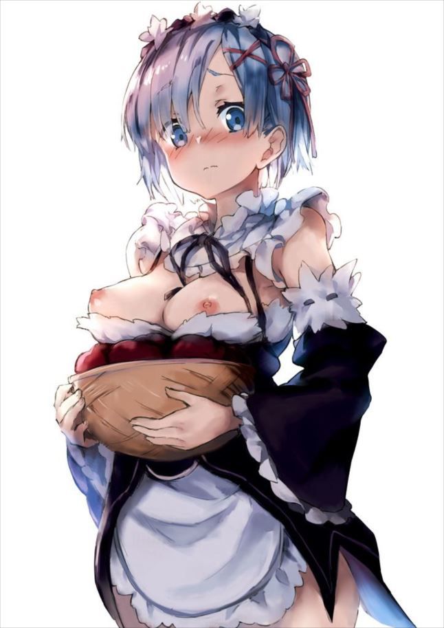 【Re:Life in a different world starting from zero】 Rem's cute picture furnace image summary 2