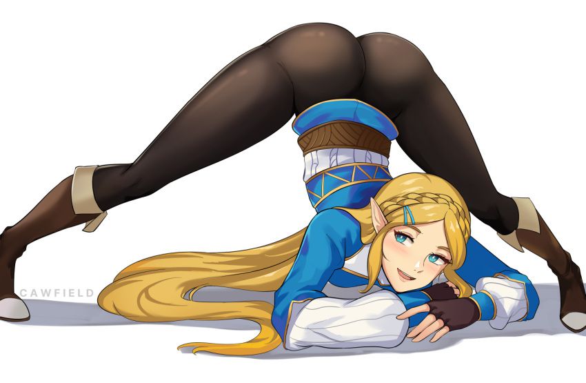 Nintendo | Princess Zelda 319