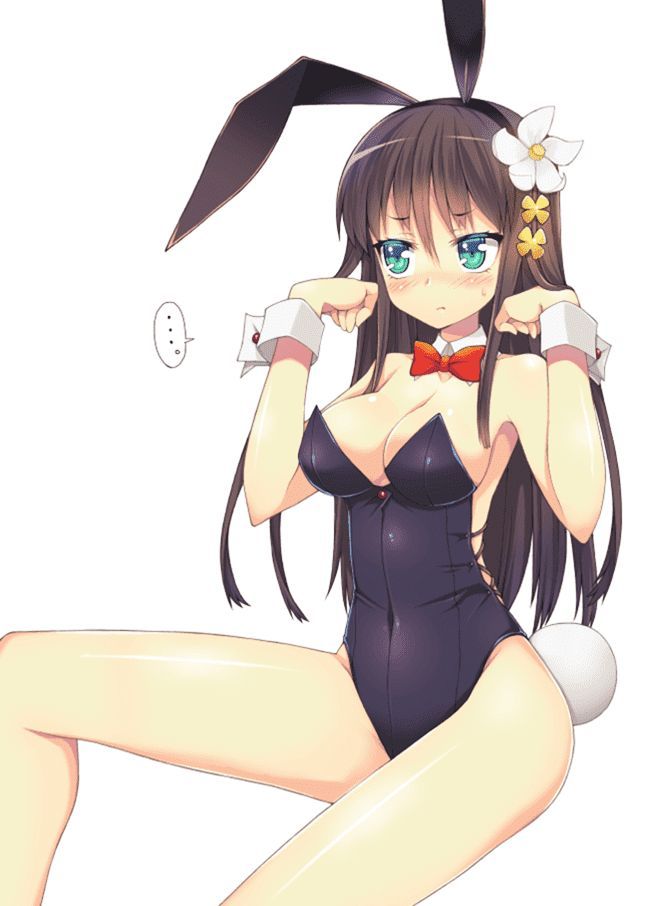【Secondary Erotic】 Here is an erotic image collection of bunny girl girls dressed as [50 sheets] 41