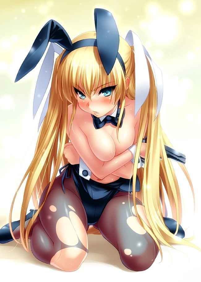【Secondary Erotic】 Here is an erotic image collection of bunny girl girls dressed as [50 sheets] 49