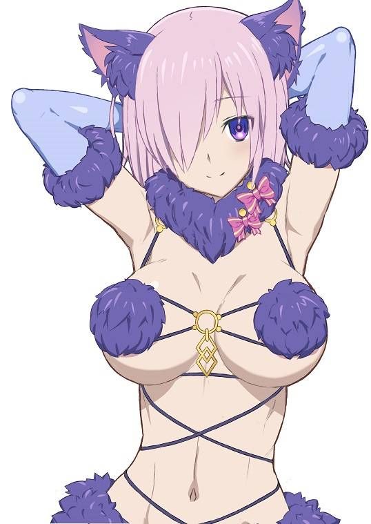 [Fate Grand Order] Dangerous Beasts Collection Pt.1 44