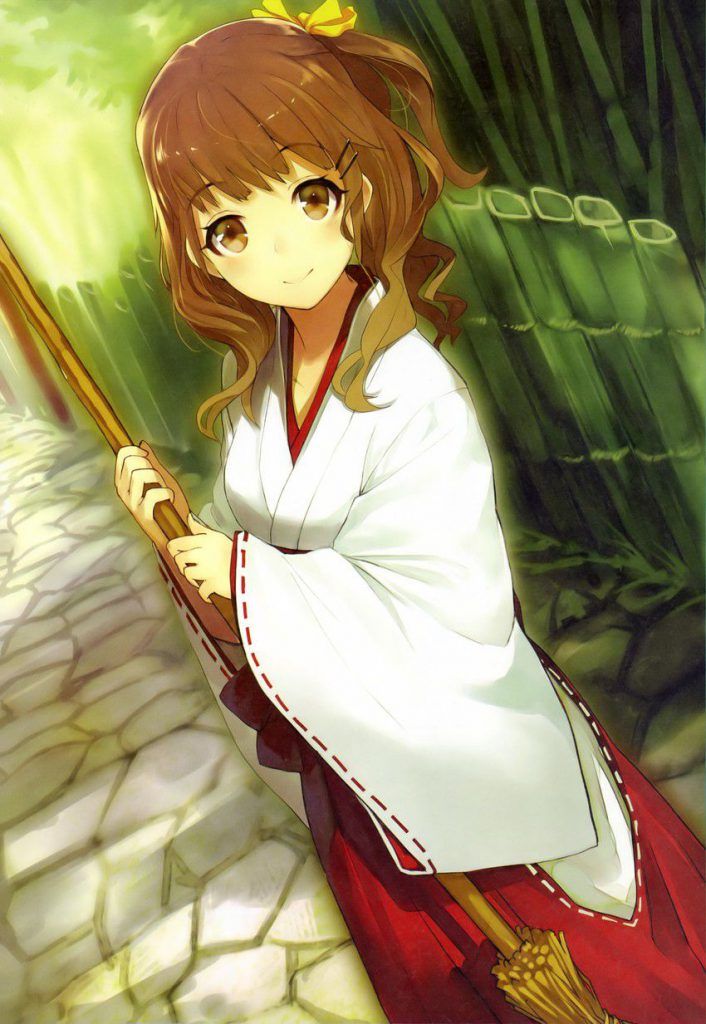 Please take an erotic image of a shrine maiden 11