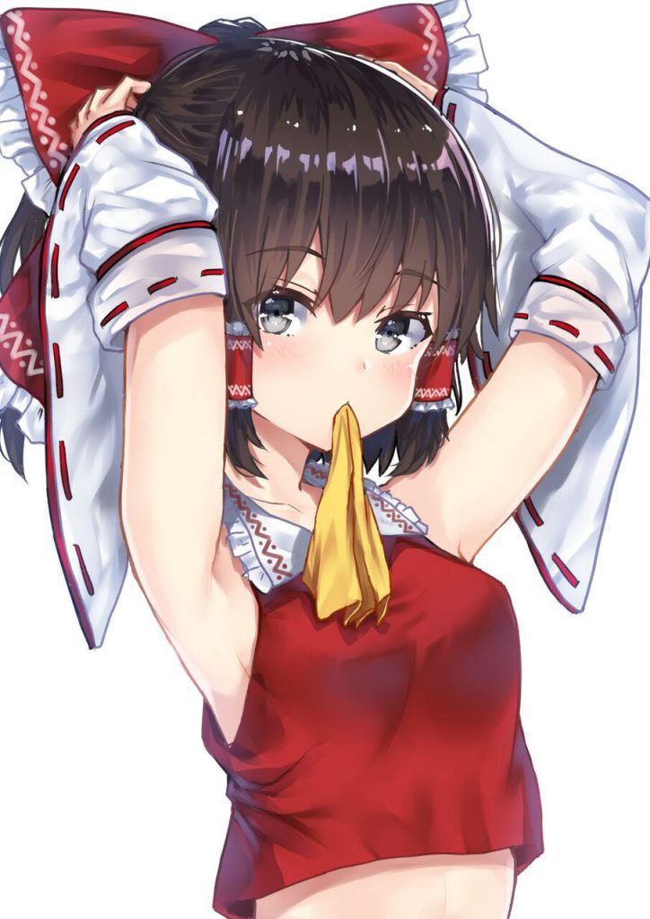Please take an erotic image of a shrine maiden 13