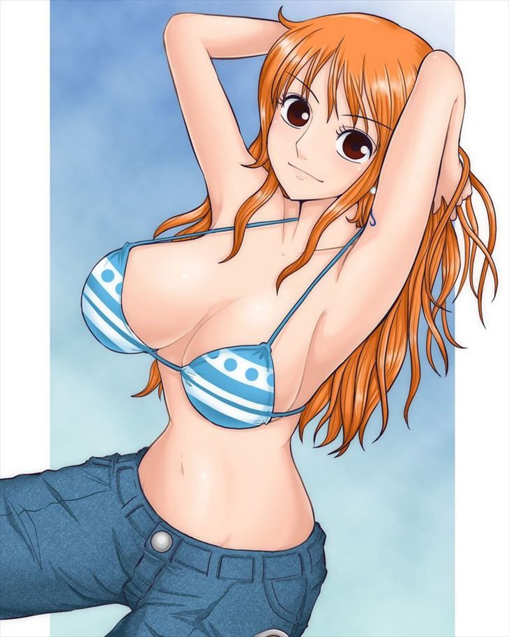 I want an erotic image of one piece! 10