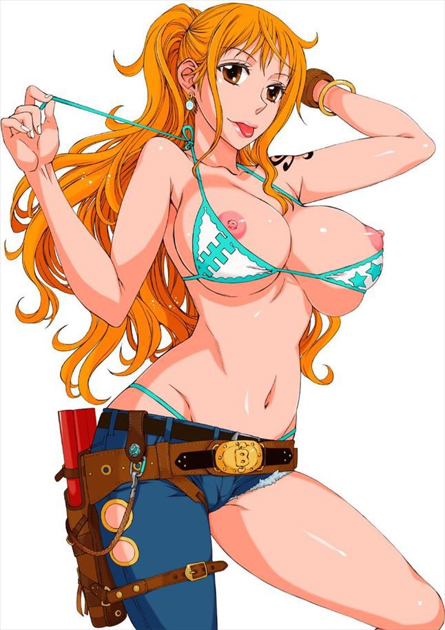 I want an erotic image of one piece! 13