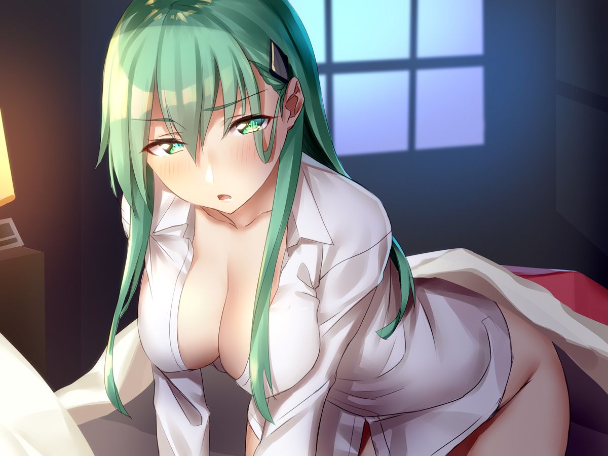 Erotic anime summary Erotic image collection of beautiful girls wearing naked shirts [50 sheets] 36