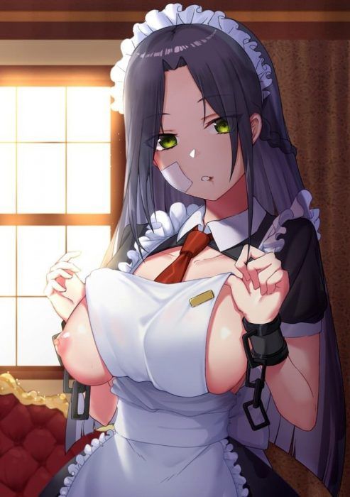 [Secondary erotic] erotic images that cute maids serve various [50 sheets] 37