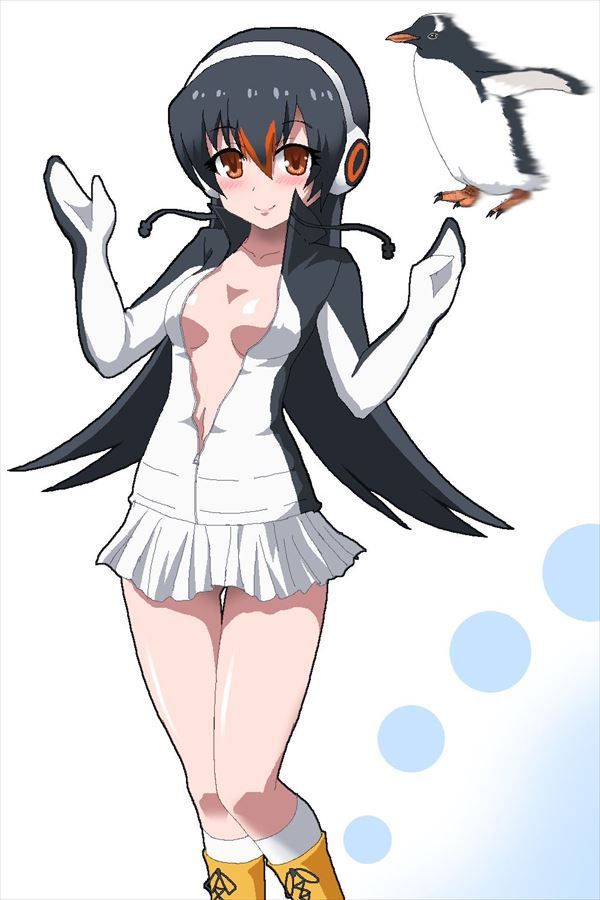 Gentoo Penguin's as much as you like Secondary EROTIC IMAGE [Keyo Friends] 27