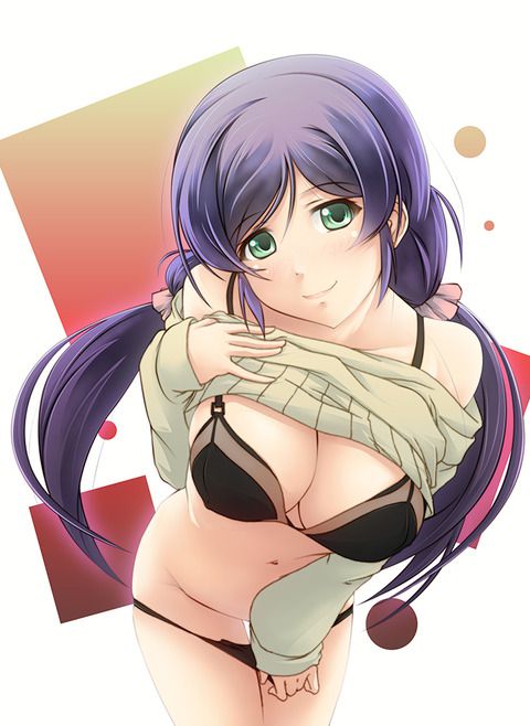 [Secondary Erotic] Love Live! μ's member's erotic image collection [36 photos] 11