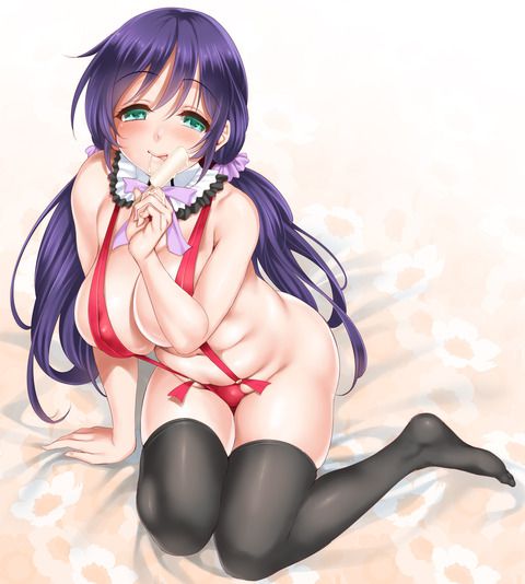 [Secondary Erotic] Love Live! μ's member's erotic image collection [36 photos] 7
