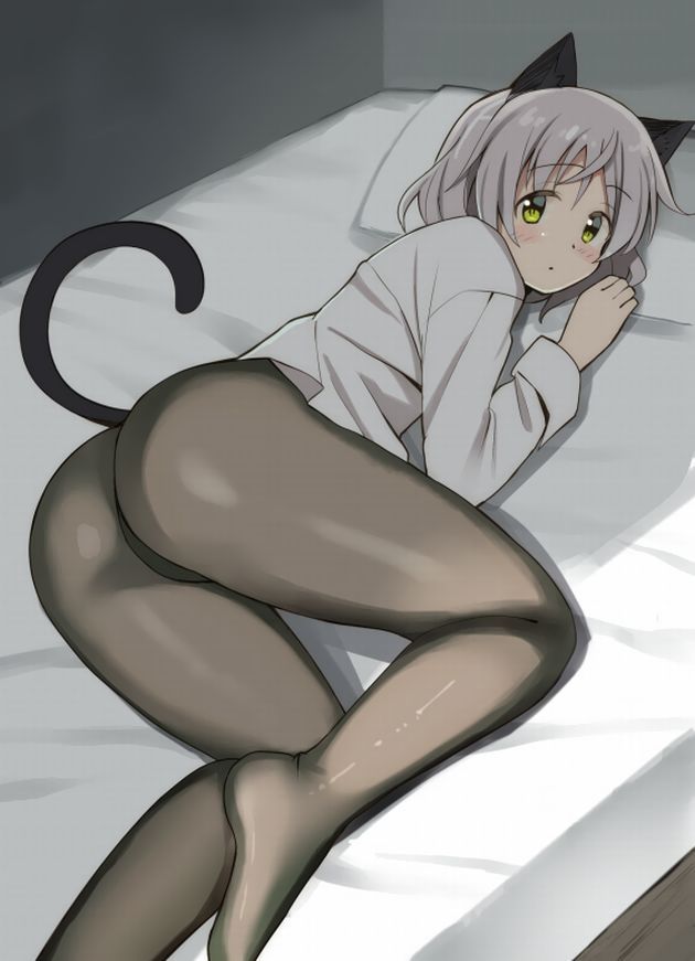 Sanya V Litovyak's are all-you-can-eat secondary erotic image [Strike Witches] 16
