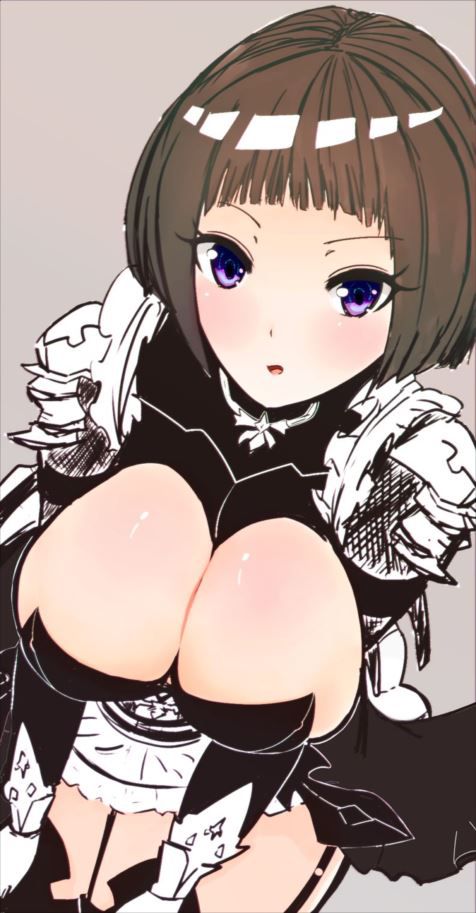 Secondary fetish image of shadowverse. 11