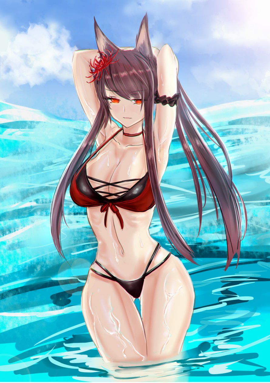 [Azur Lane] Moe of Akagi cute secondary erotic image summary 4