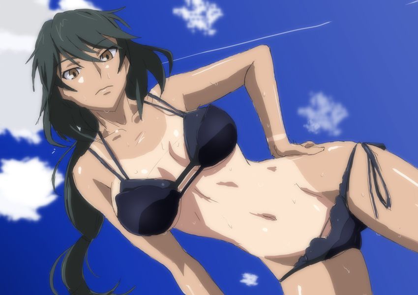 I tried collecting erotic images of Infinite Stratos! 13