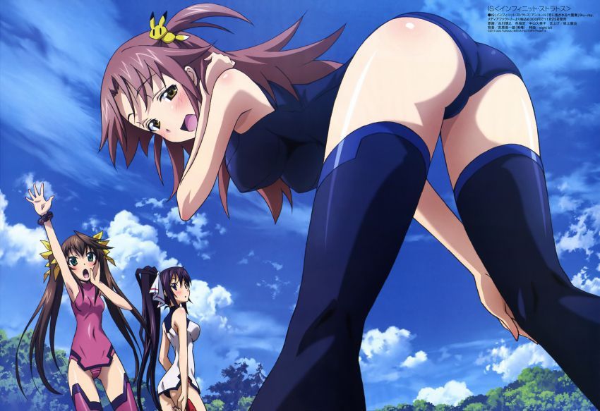 I tried collecting erotic images of Infinite Stratos! 14