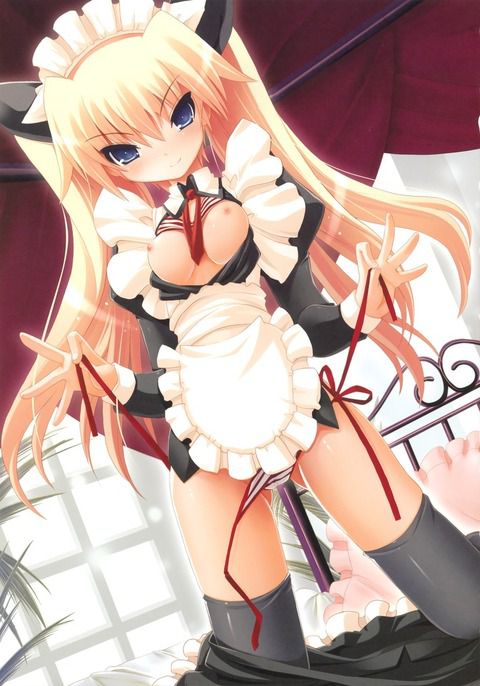 Erotic anime summary Beautiful girls and beautiful girls of maid clothes will serve you all the images [40 sheets] 1