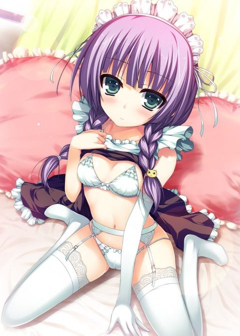 Erotic anime summary Beautiful girls and beautiful girls of maid clothes will serve you all the images [40 sheets] 10