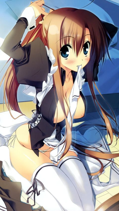 Erotic anime summary Beautiful girls and beautiful girls of maid clothes will serve you all the images [40 sheets] 14