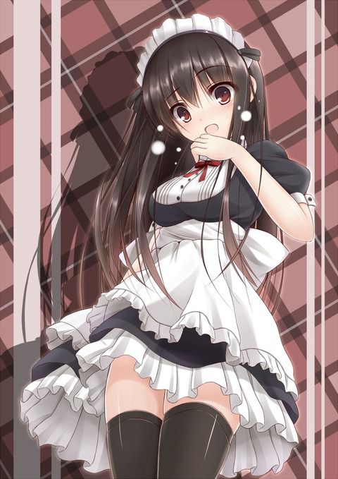Erotic anime summary Beautiful girls and beautiful girls of maid clothes will serve you all the images [40 sheets] 30