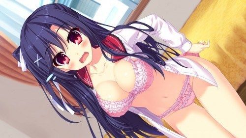 Erotic anime summary I am more excited than naked! ? Underwear figure collection of beautiful women and beautiful girls [50 sheets] 32