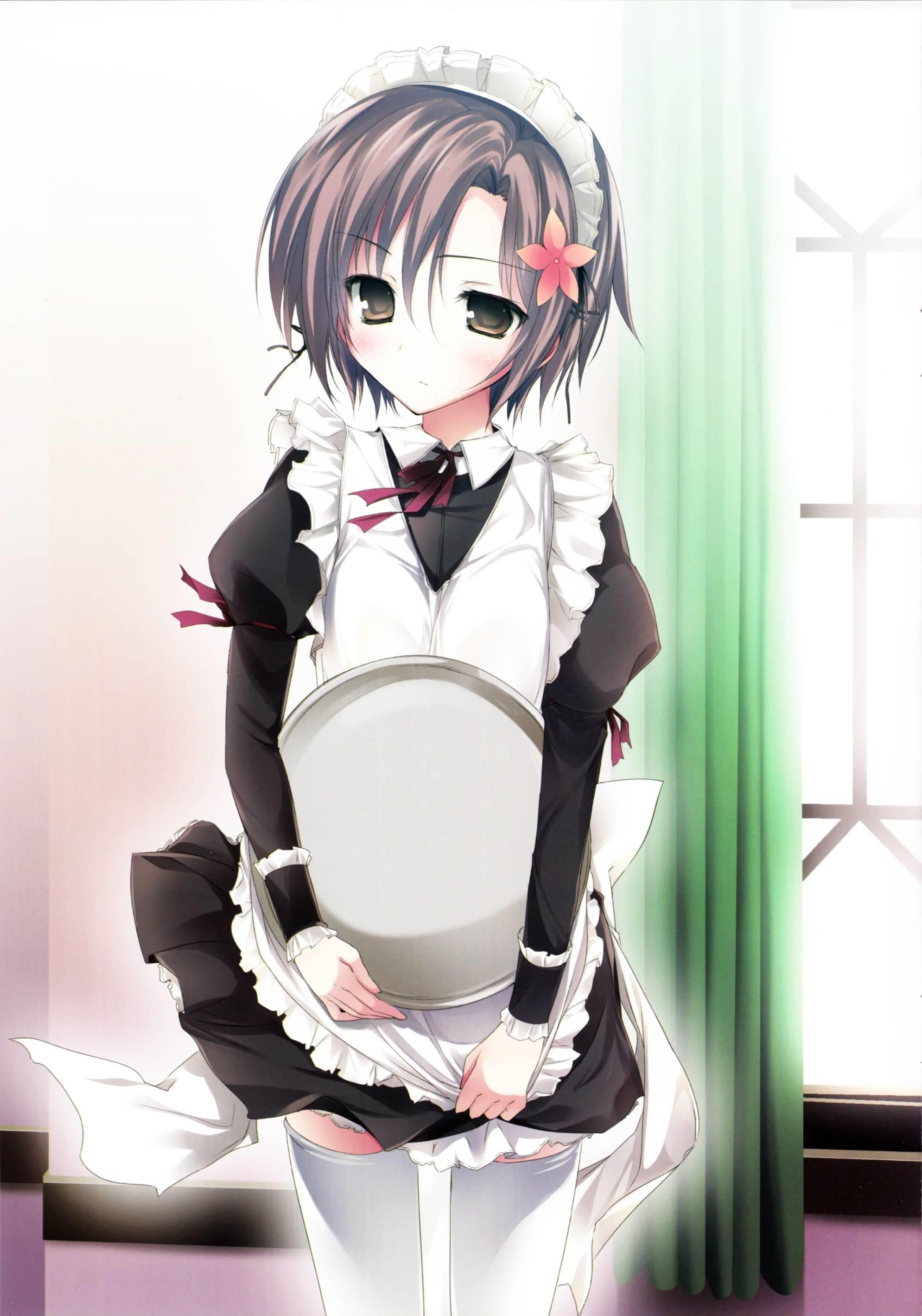 Two-dimensional erotic image that makes you want to be a maid who says "I will do anything for your husband♪" 15