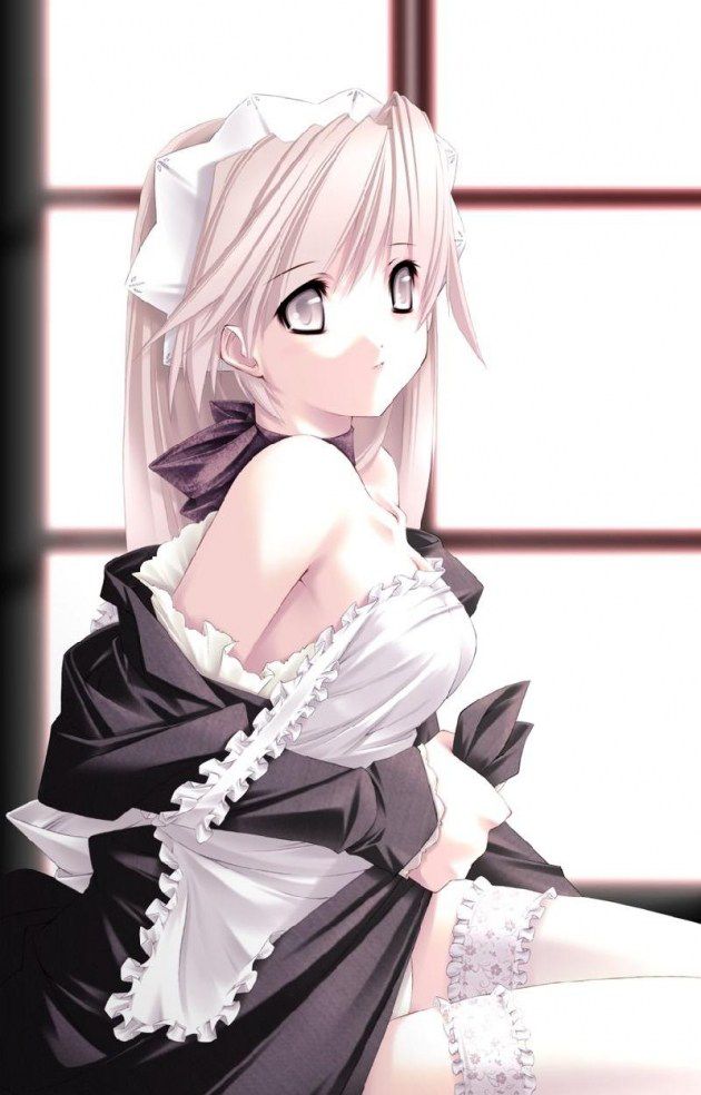 Two-dimensional erotic image that makes you want to be a maid who says "I will do anything for your husband♪" 28