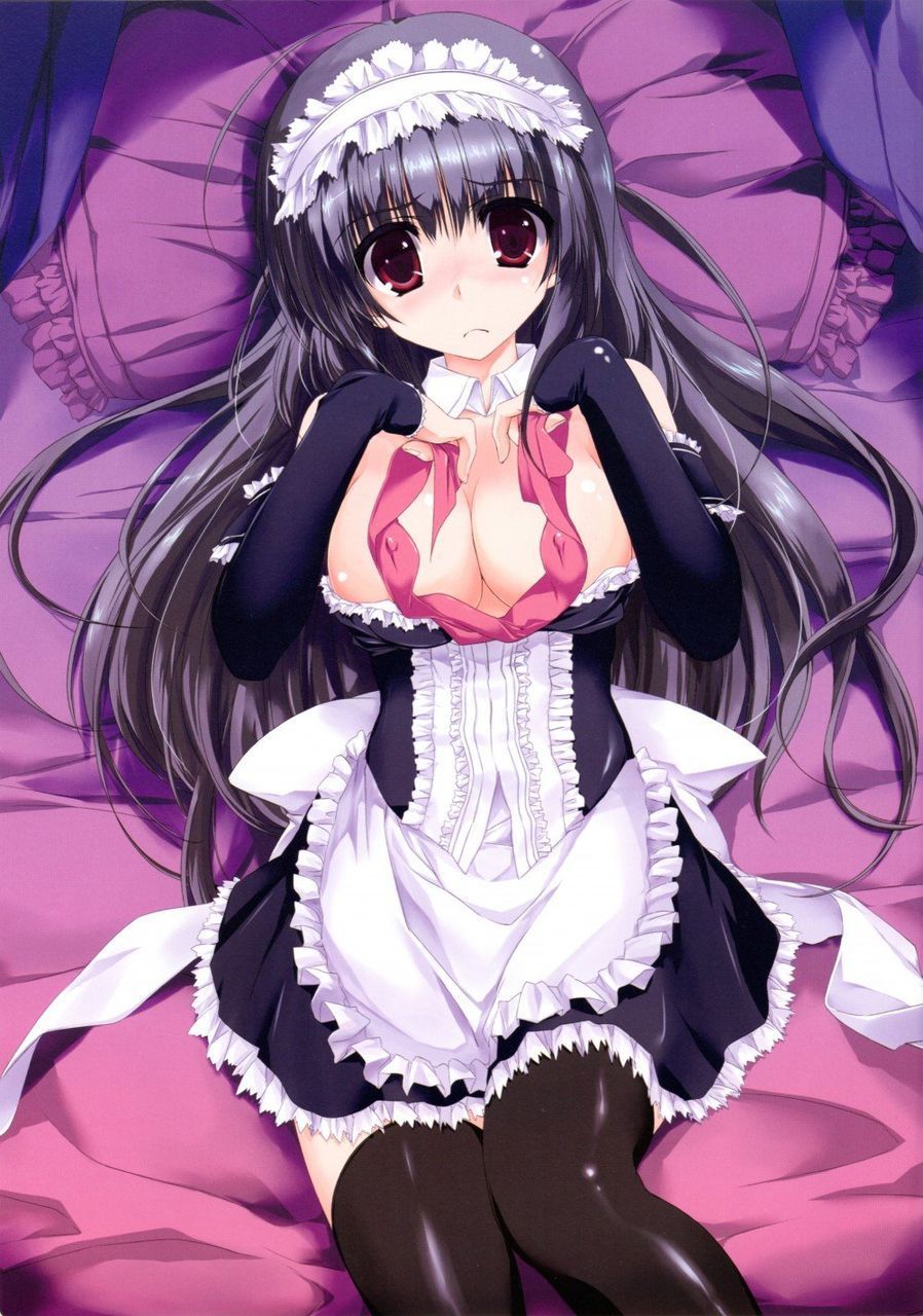 Two-dimensional erotic image that makes you want to be a maid who says "I will do anything for your husband♪" 4