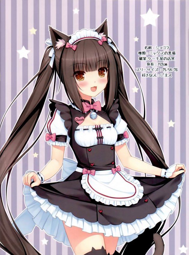 Two-dimensional erotic image that makes you want to be a maid who says "I will do anything for your husband♪" 52