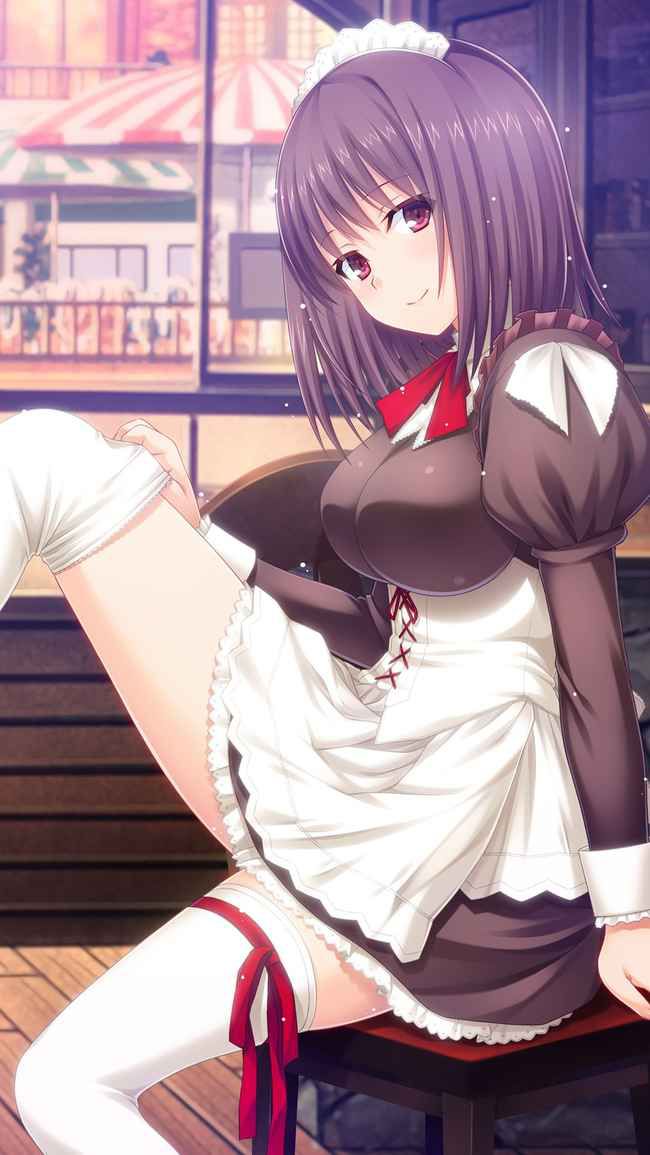 【Erotic Image】Why don't you make the maid's Yarashii image today's Okaz? 9