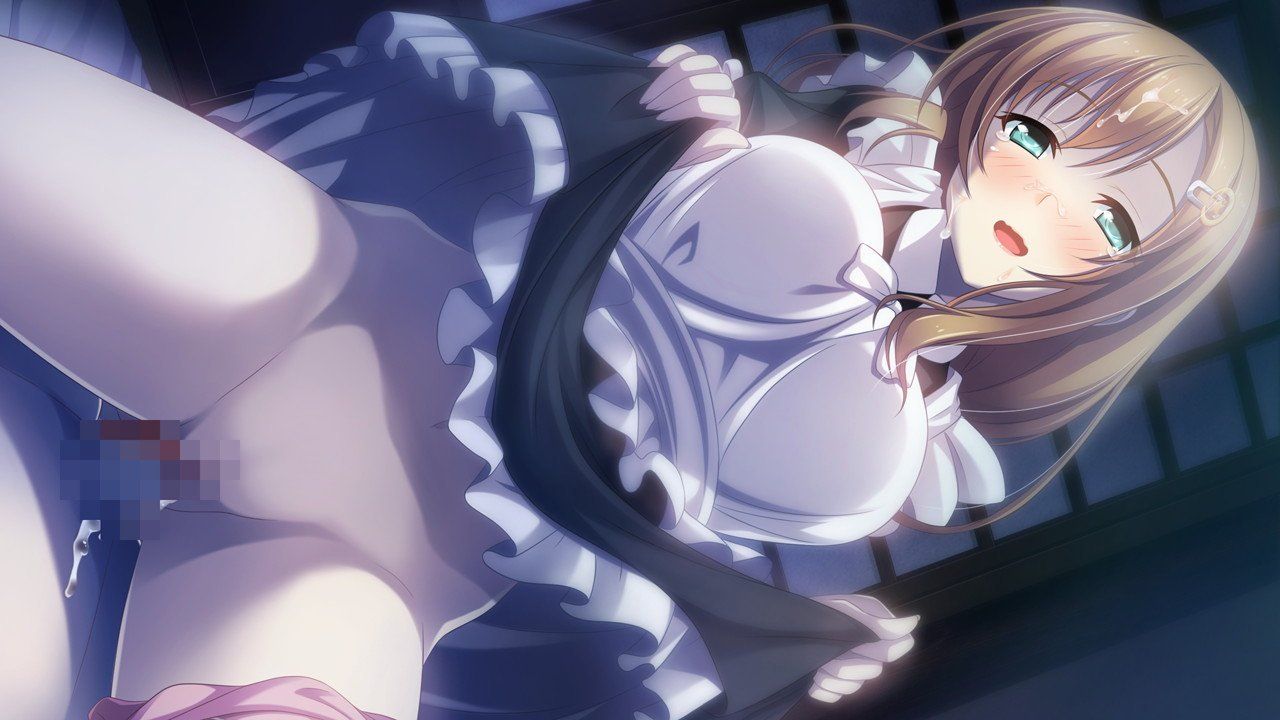 Maids love chinchin after all! 2D erotic image of a maid who can't help but serve you by yourself 19