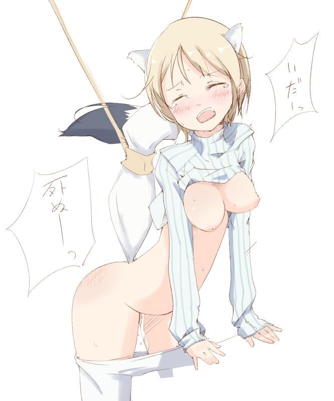 【Strike Witches】Erotic image that sticks through with Nipa's etch 2