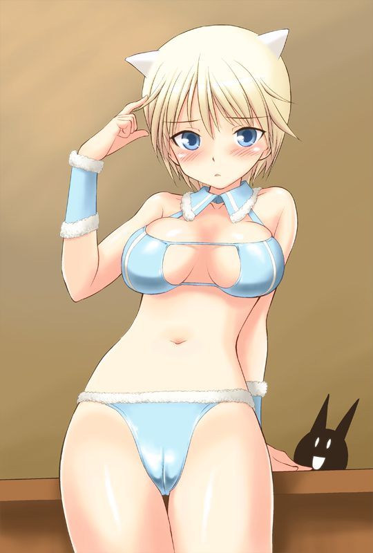 【Strike Witches】Erotic image that sticks through with Nipa's etch 9