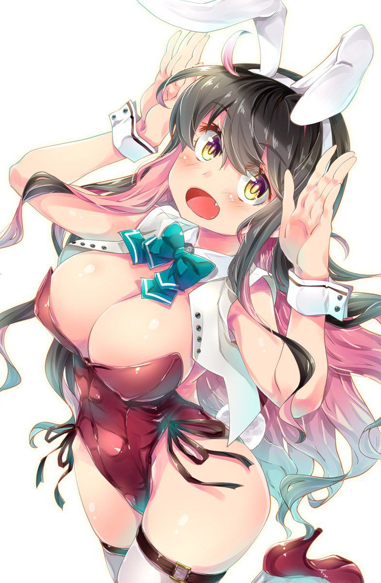 It was life that I wanted to keep a girl in a cute bunny girl costume ... Two-dimensional erotic image that seems to be 29
