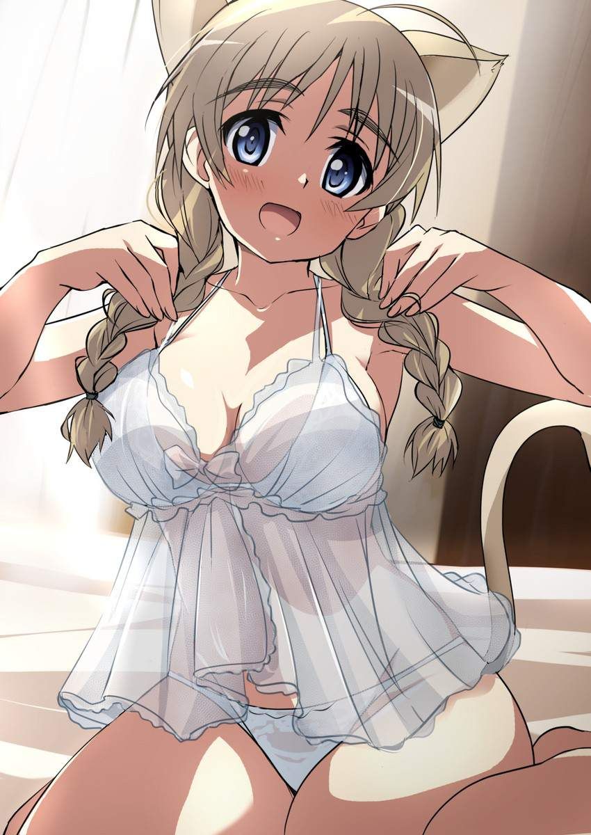 Erotic image Common development when you have a delusion to etch with Lynette Bishop! (Strike Witches) 4