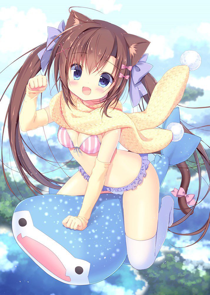 Don't want to see the elloello images of twin tails? 19