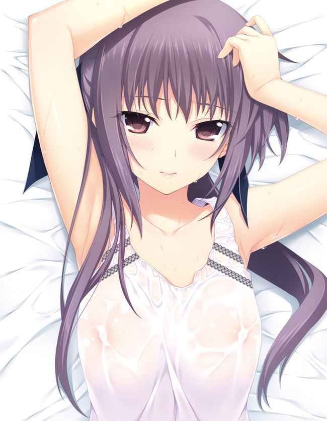 Erotic anime summary Beautiful girls who have worn lewd clothes so that underwear and nipples can be seen [40 sheets] 14