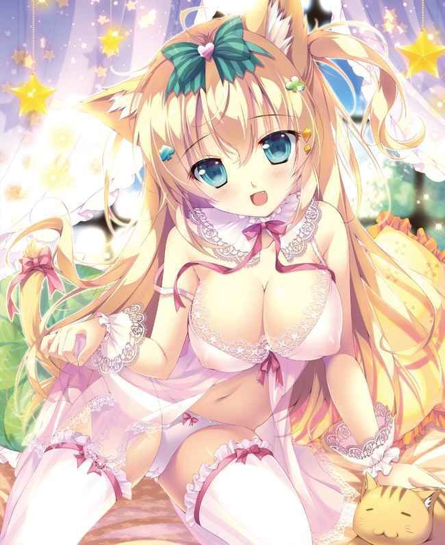 Erotic anime summary Beautiful girls who have worn lewd clothes so that underwear and nipples can be seen [40 sheets] 20