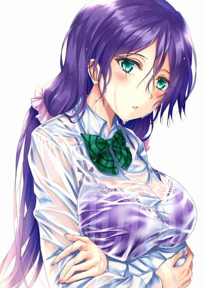 Erotic anime summary Beautiful girls who have worn lewd clothes so that underwear and nipples can be seen [40 sheets] 31