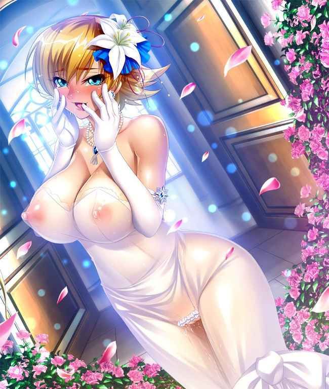 Erotic anime summary Beautiful girls who have worn lewd clothes so that underwear and nipples can be seen [40 sheets] 6