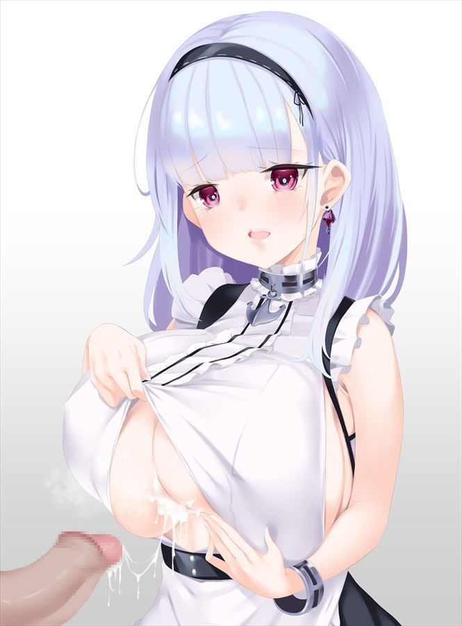 I collected erotic images of Azur Lane 1