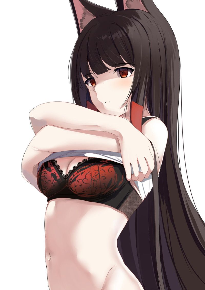 [Azur Lane] Akagi's erotic image [70 photos] 56