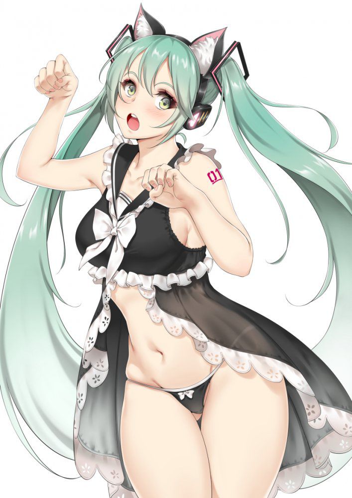 Hatsune Miku's sexy and detaching secondary erotic image collection [Vocaloid] 10