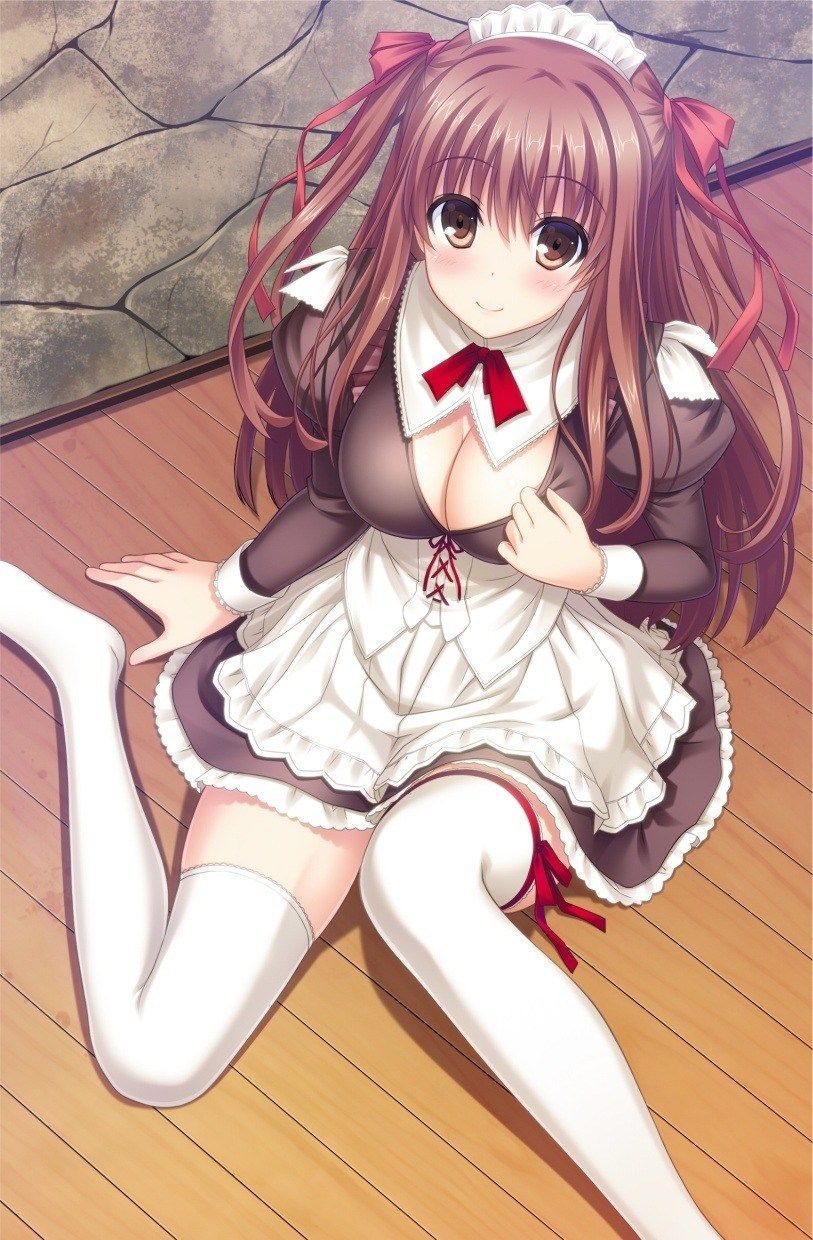 Two-dimensional erotic image that I want such a cute maid to nurse variously because I am not physically ill 11