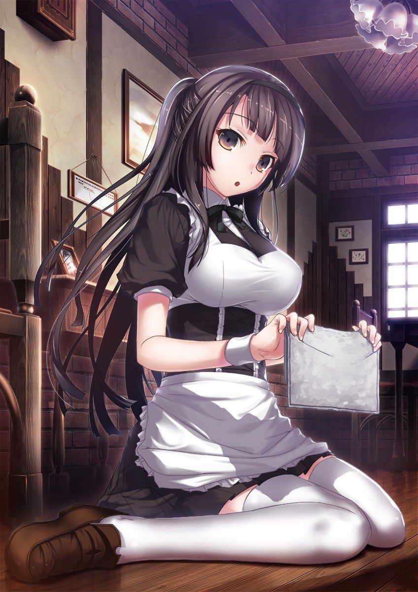 Two-dimensional erotic image that I want such a cute maid to nurse variously because I am not physically ill 16